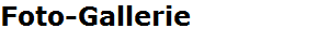 Foto-Gallerie